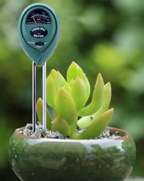 using a moisture meter for succulents|moisture meter for succulent plants.